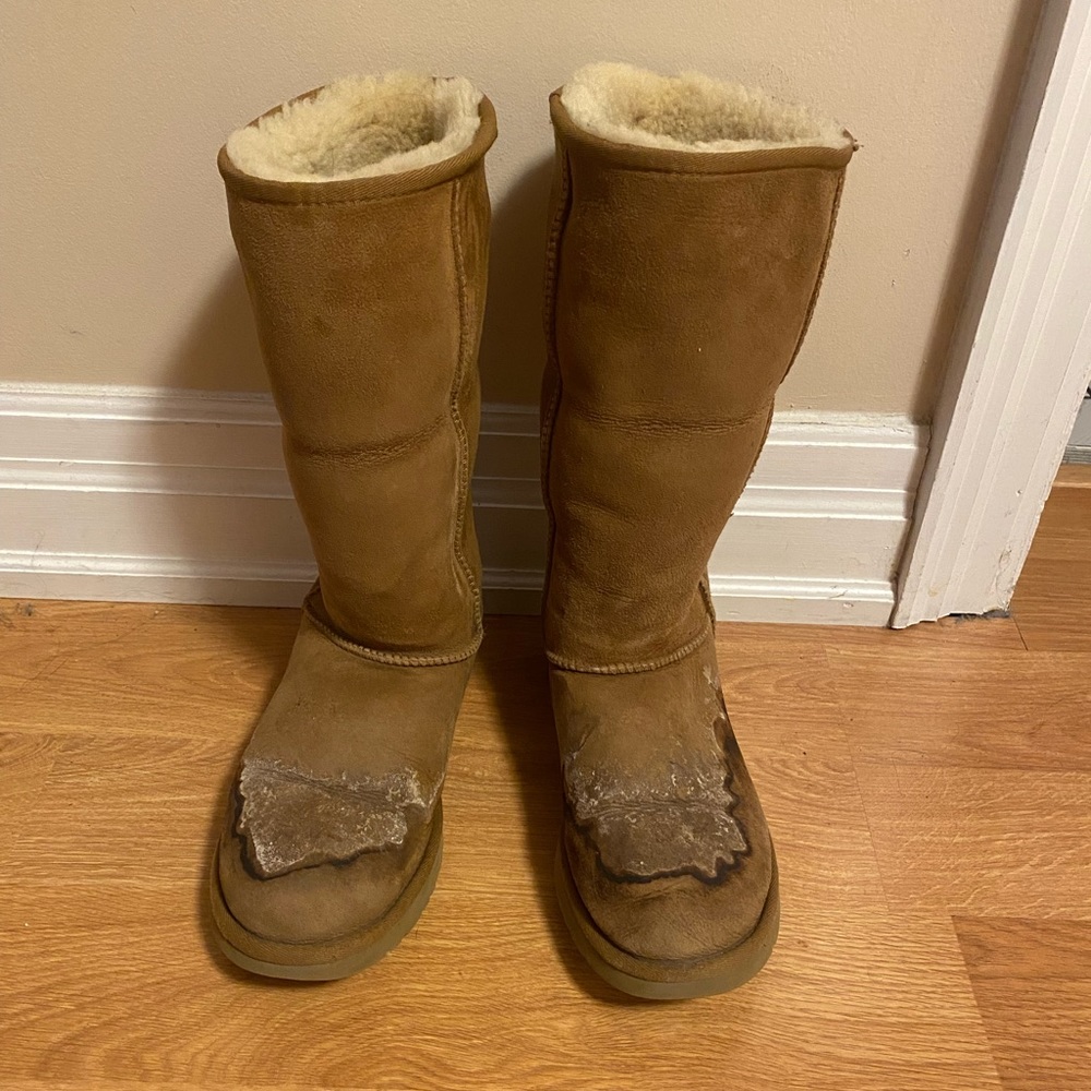 Tall Ugg Boots Chestnut